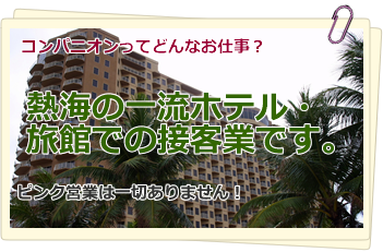 熱海　コンパニオン　コンパニオンハニーってどんなお仕事？ 伊豆の一流ホテル・旅館での接客業です。ピンク営業は一切ありません！